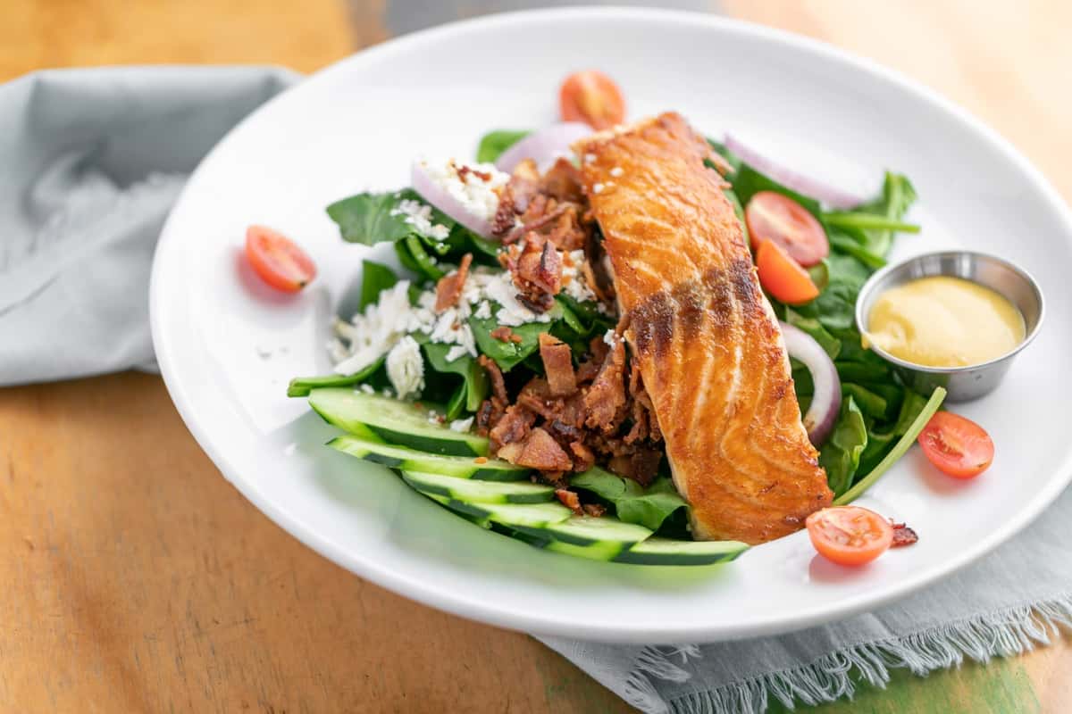 salmon