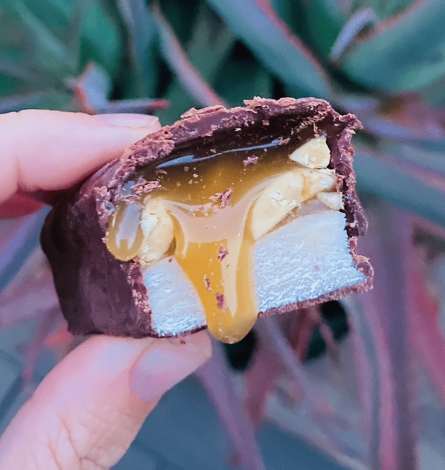 値下げ　Whole Earth EARTH KÜCHEN SC Snix Bar (GF) - Earth Aloha Eats- Restaurant in Maui Hawaii