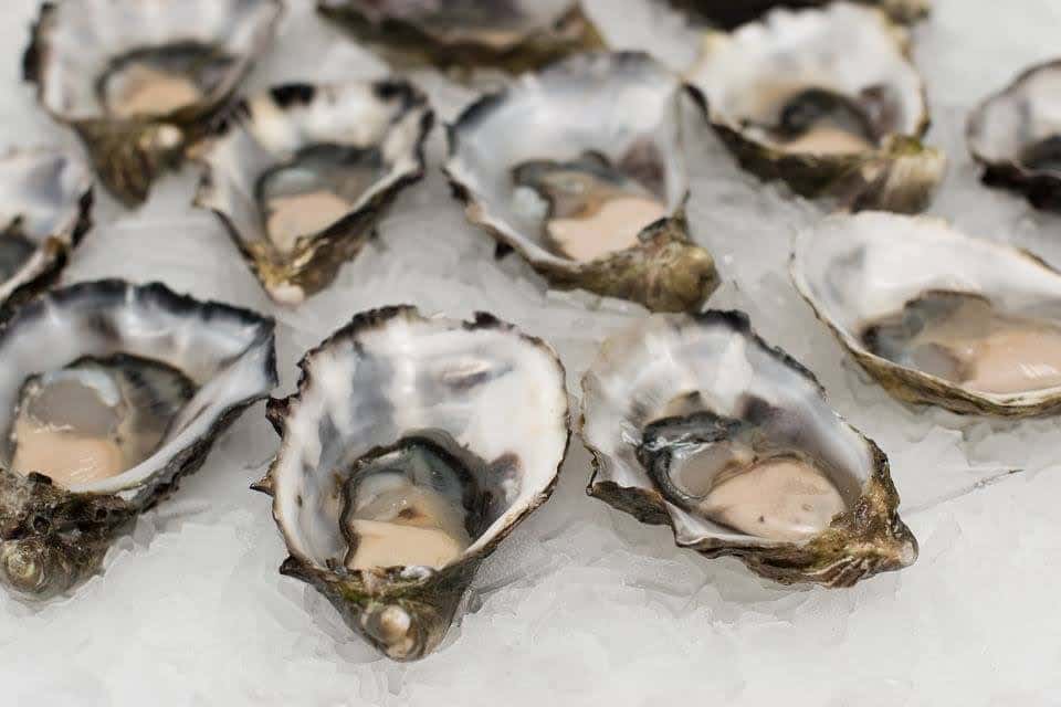 1/2 Priced Oysters
