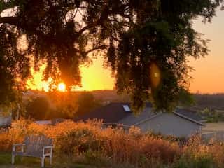 outside