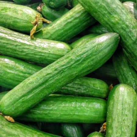 Cucumber