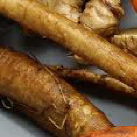 Burdock