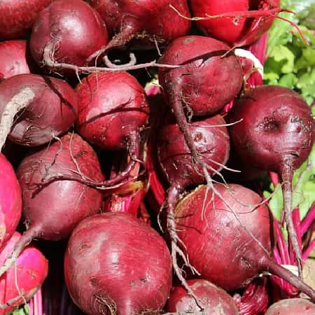 Beet