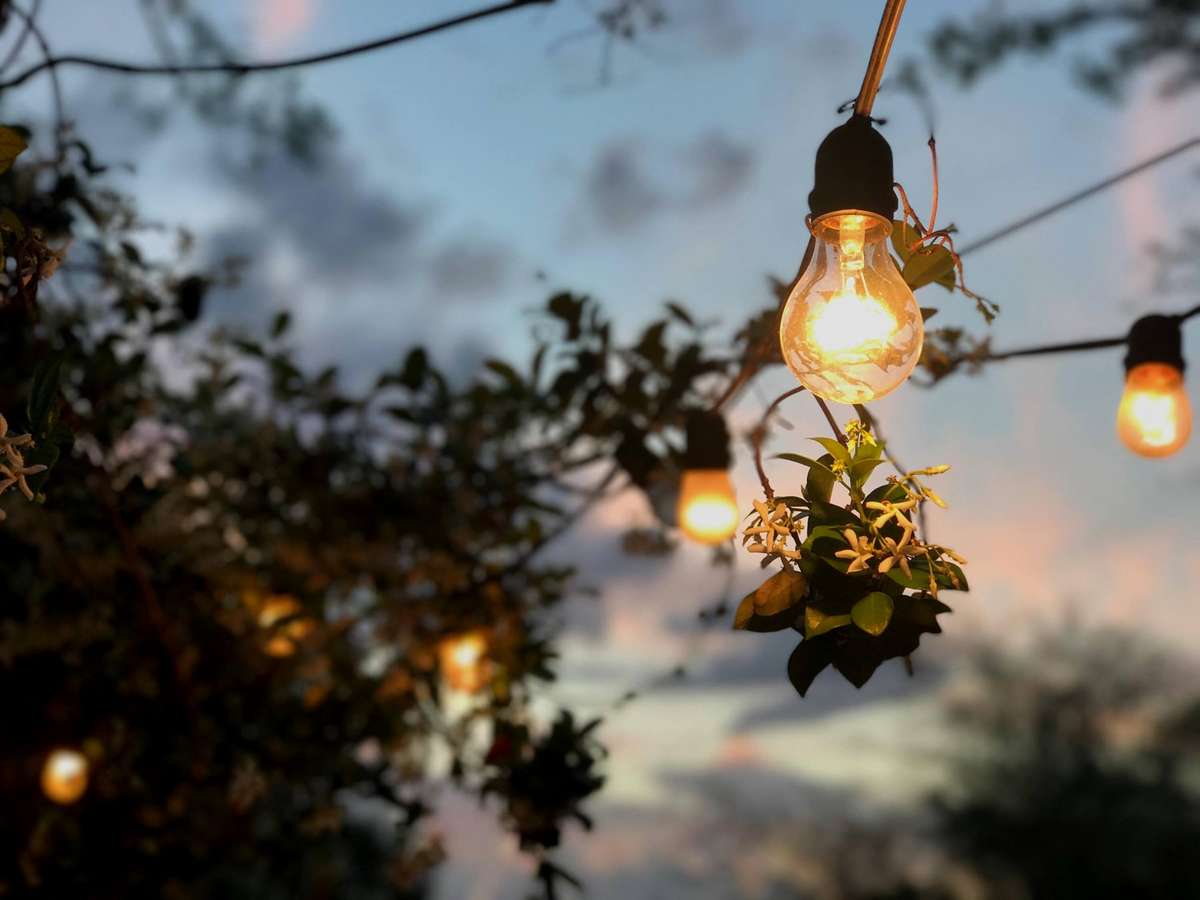 strung lights outside