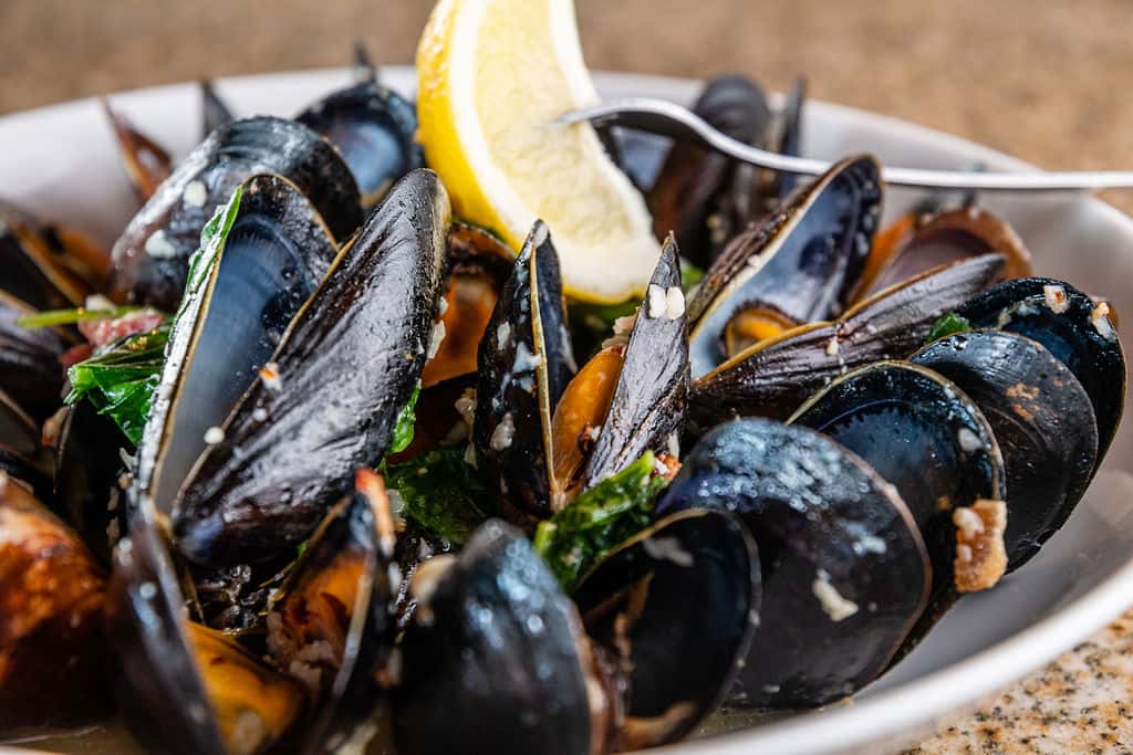 Mussels and Bleu