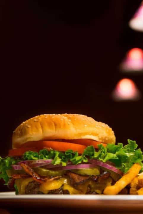 Cheeseburger and fries