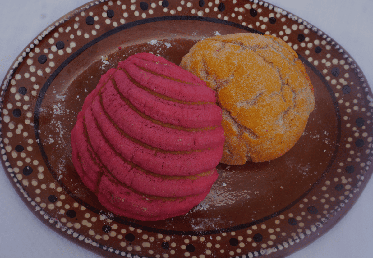 Conchas Pink & Yellow