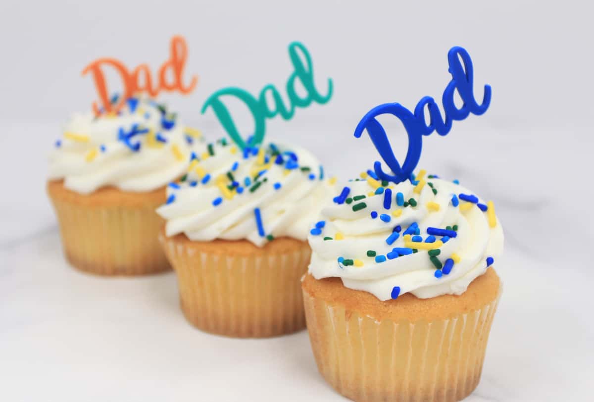 Fathers Day Cupcake