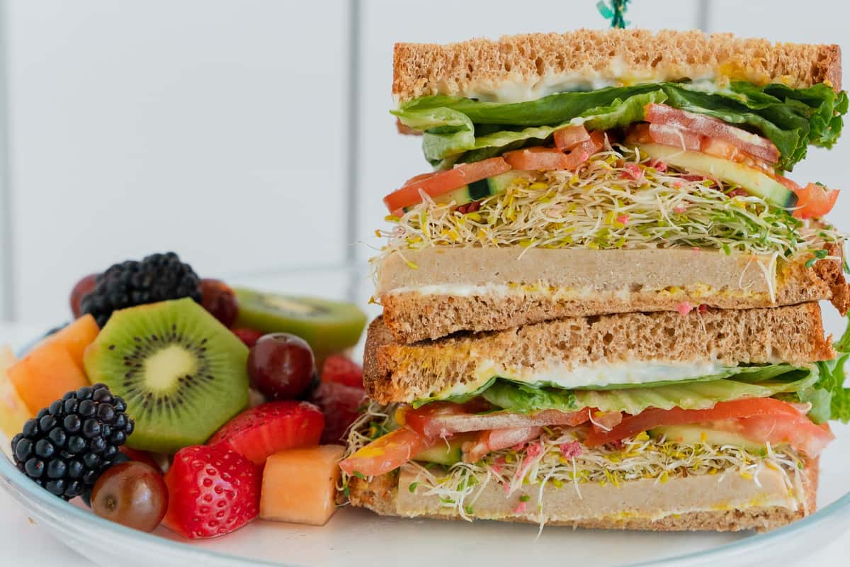 Vegetarian Turkey Sandwich - Jan's Health Bar