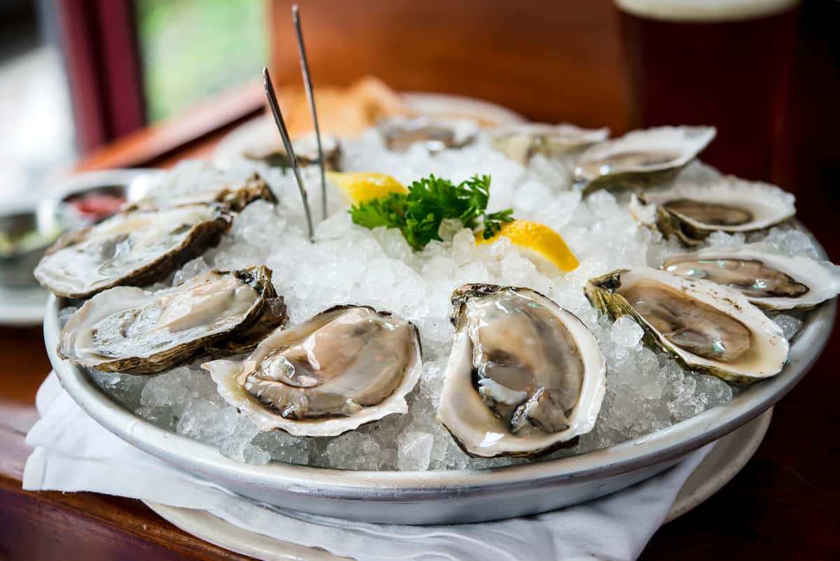 Appetizer