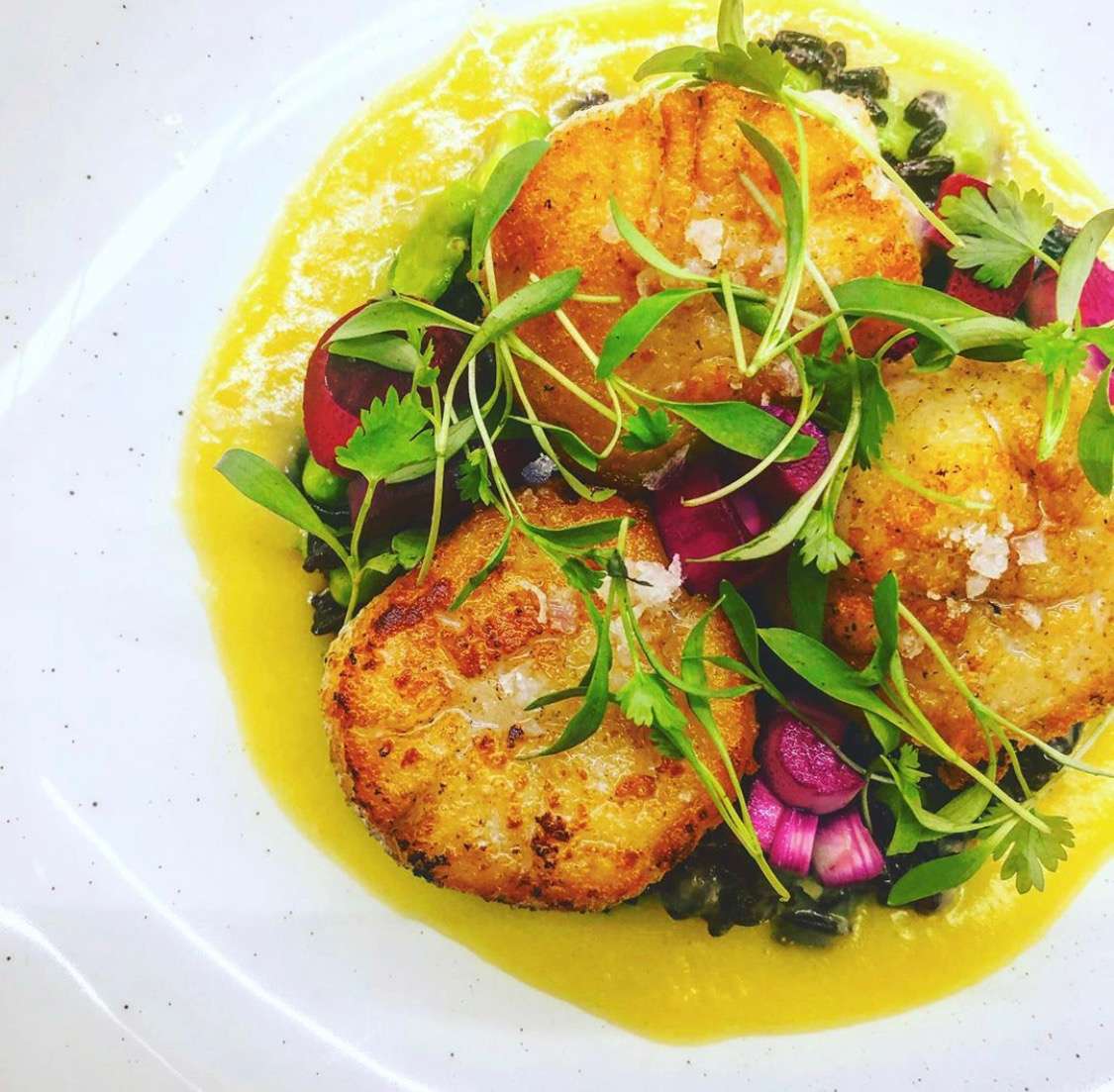Seared Scallops
