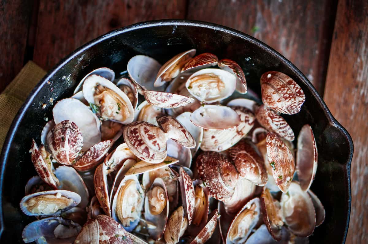 Hobo Clams