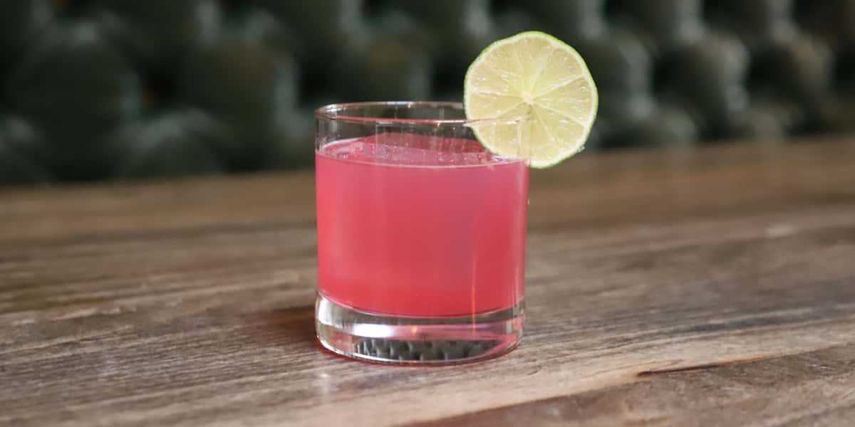 hibiscus vida