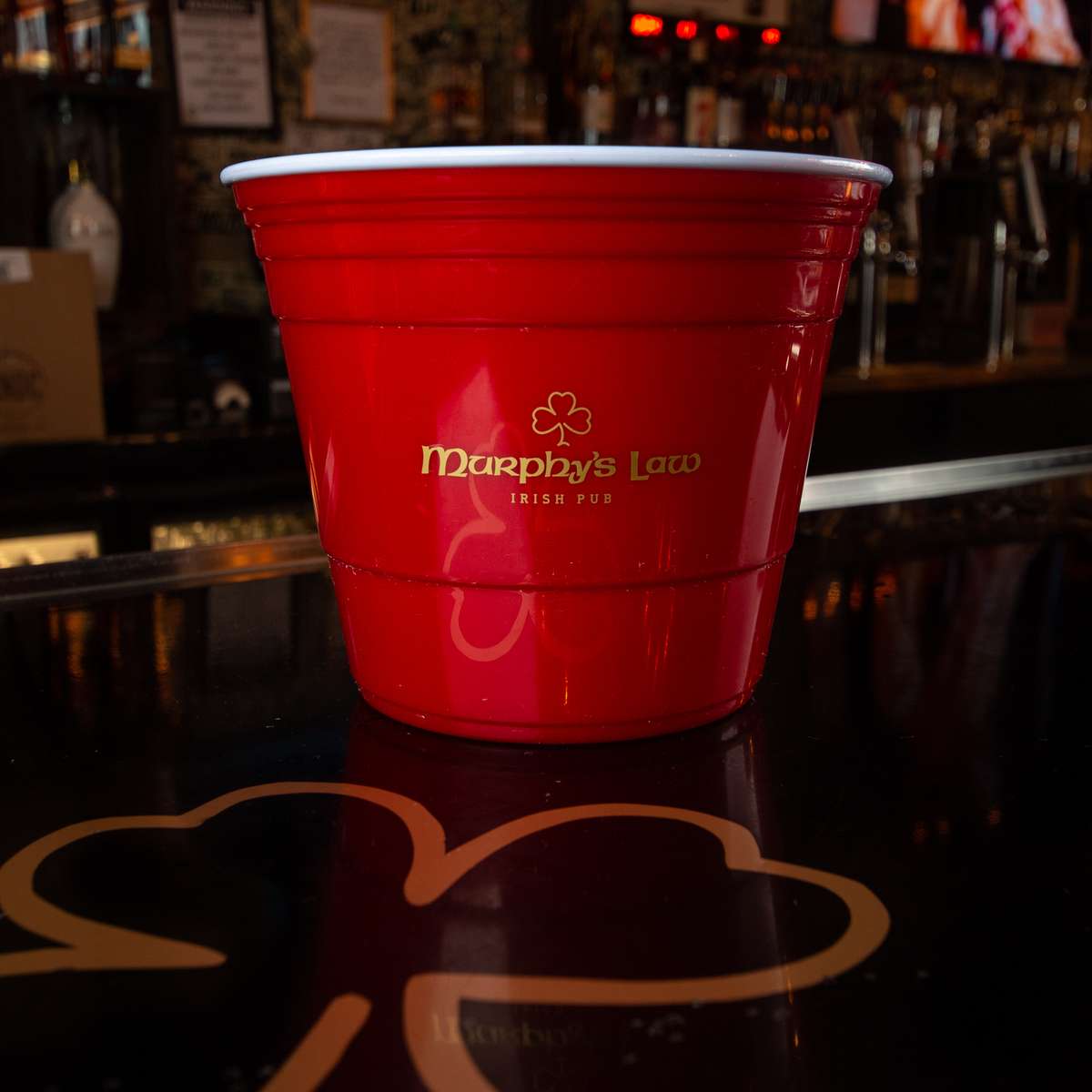 Murphy's Solo Cup Bucket