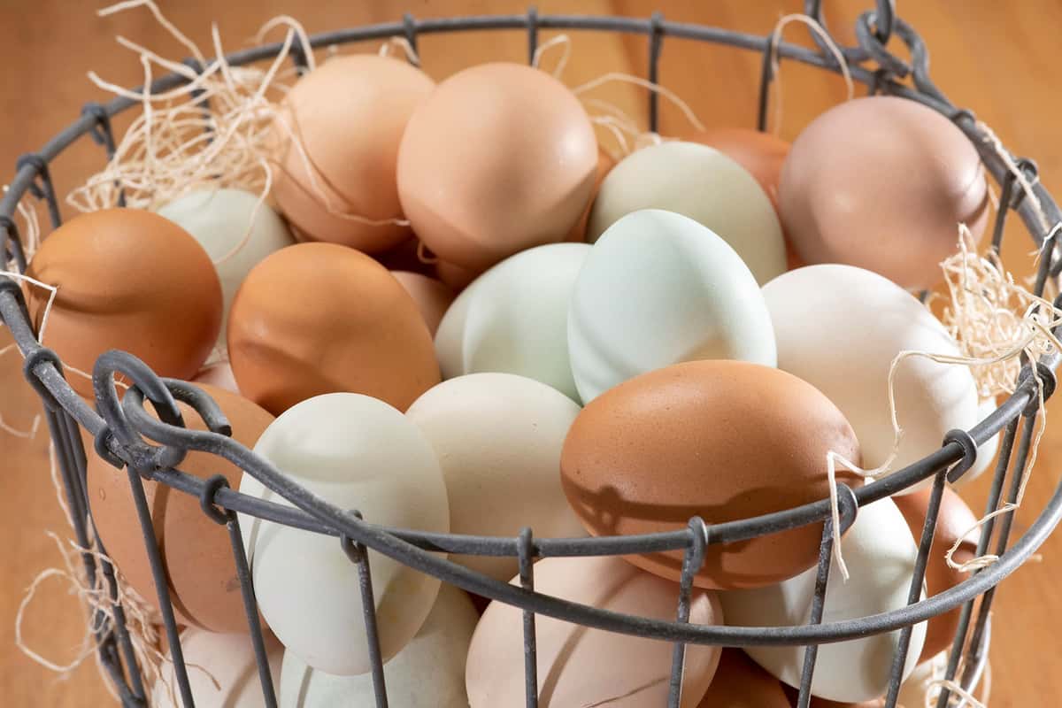 Fresh eggs in a wire basket