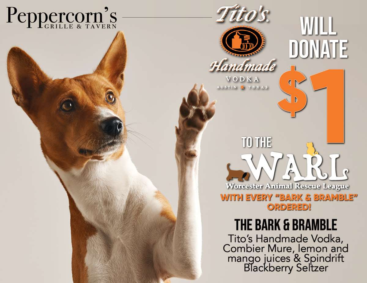 Bark & Bramble - Donation Special!