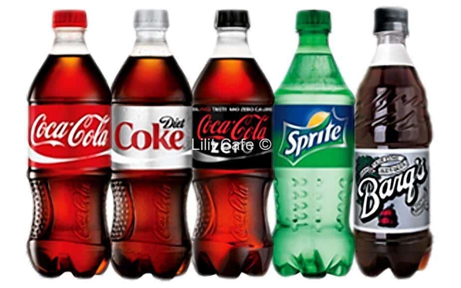 20 oz Bottled Soft Drinks