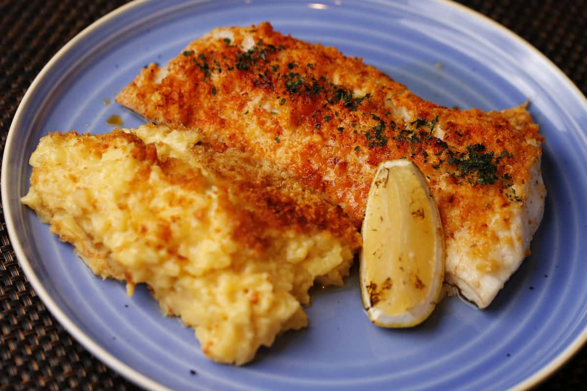 Broiled haddock