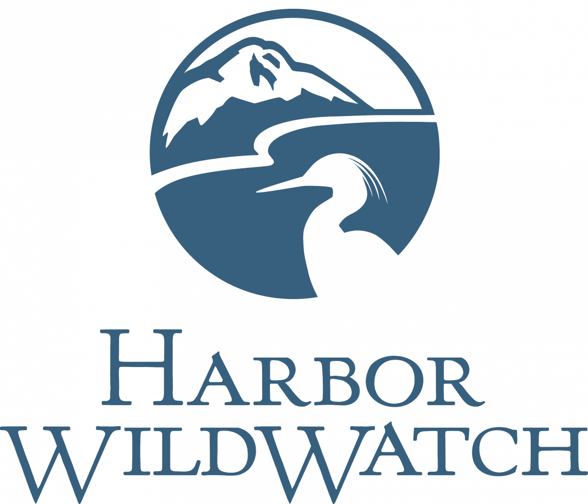 Harbor Wild Watch Salmon Dinner