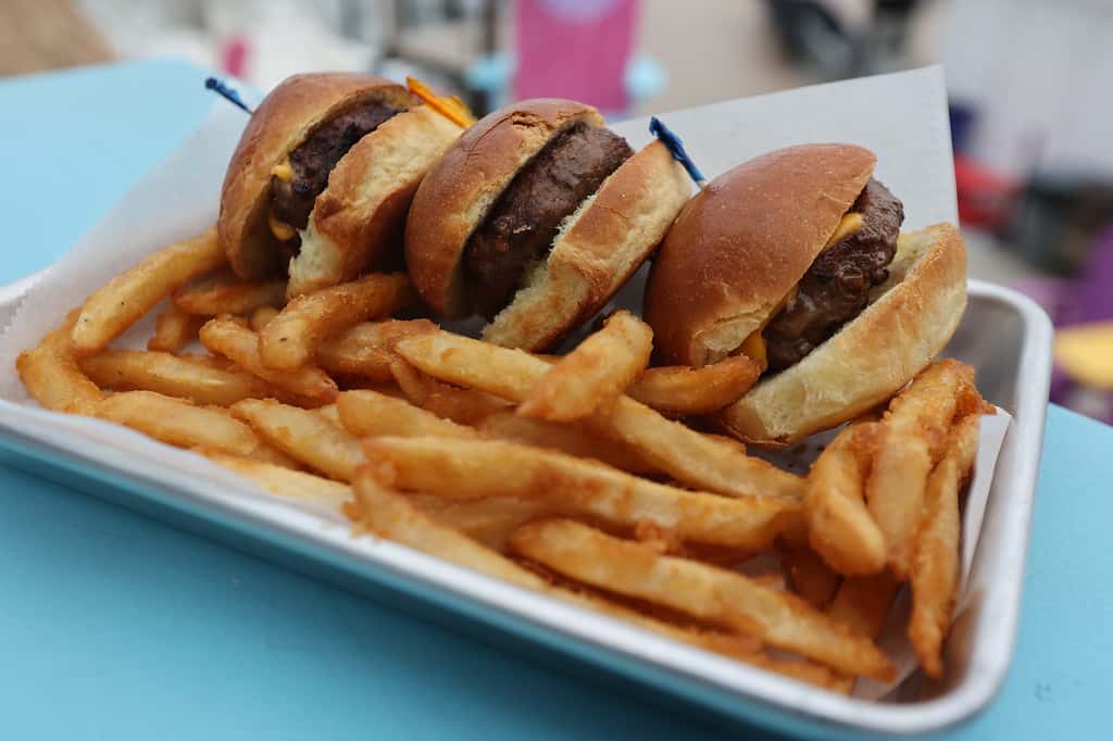 fries