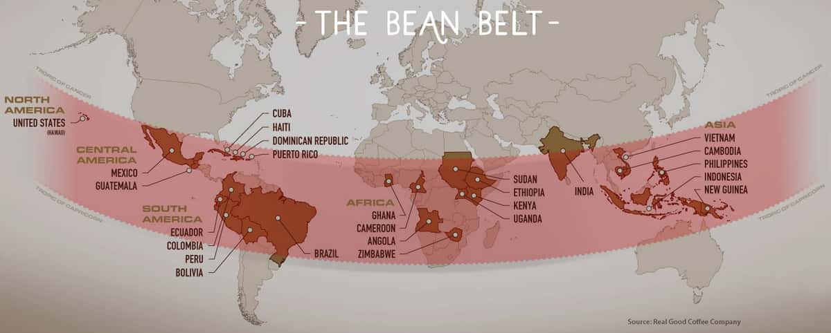 The World's Top Coffee Producers