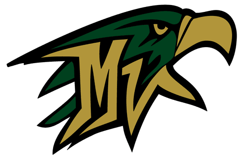 mountain logo
