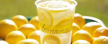 Gallon Lemonade
