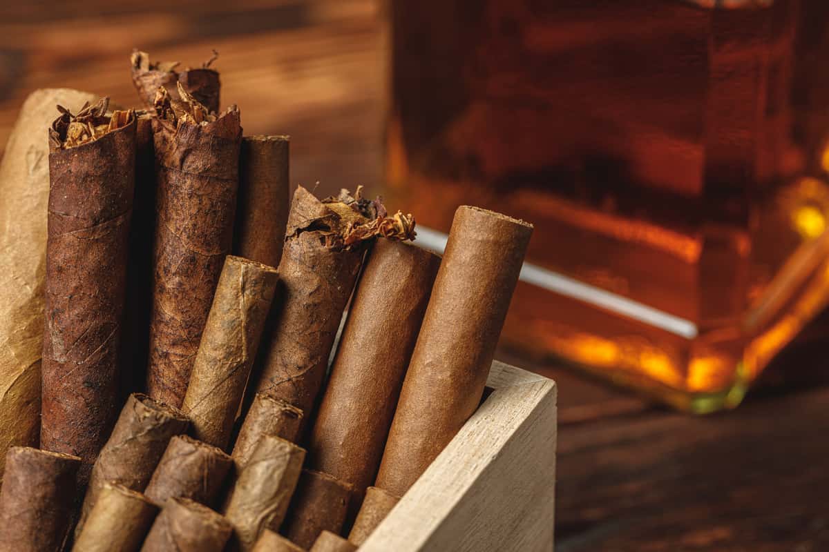 cigars