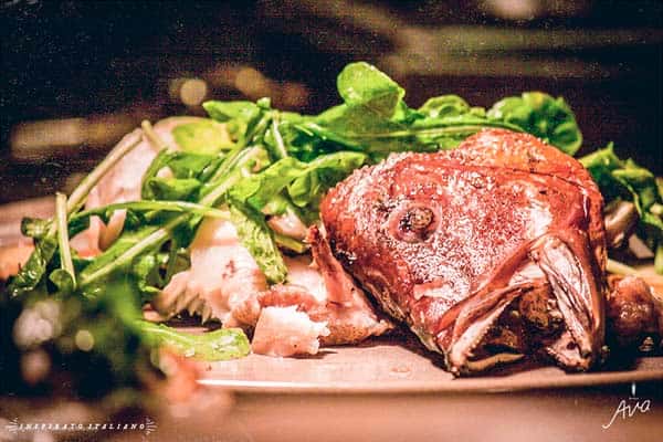 WOOD GRILLED FISH
