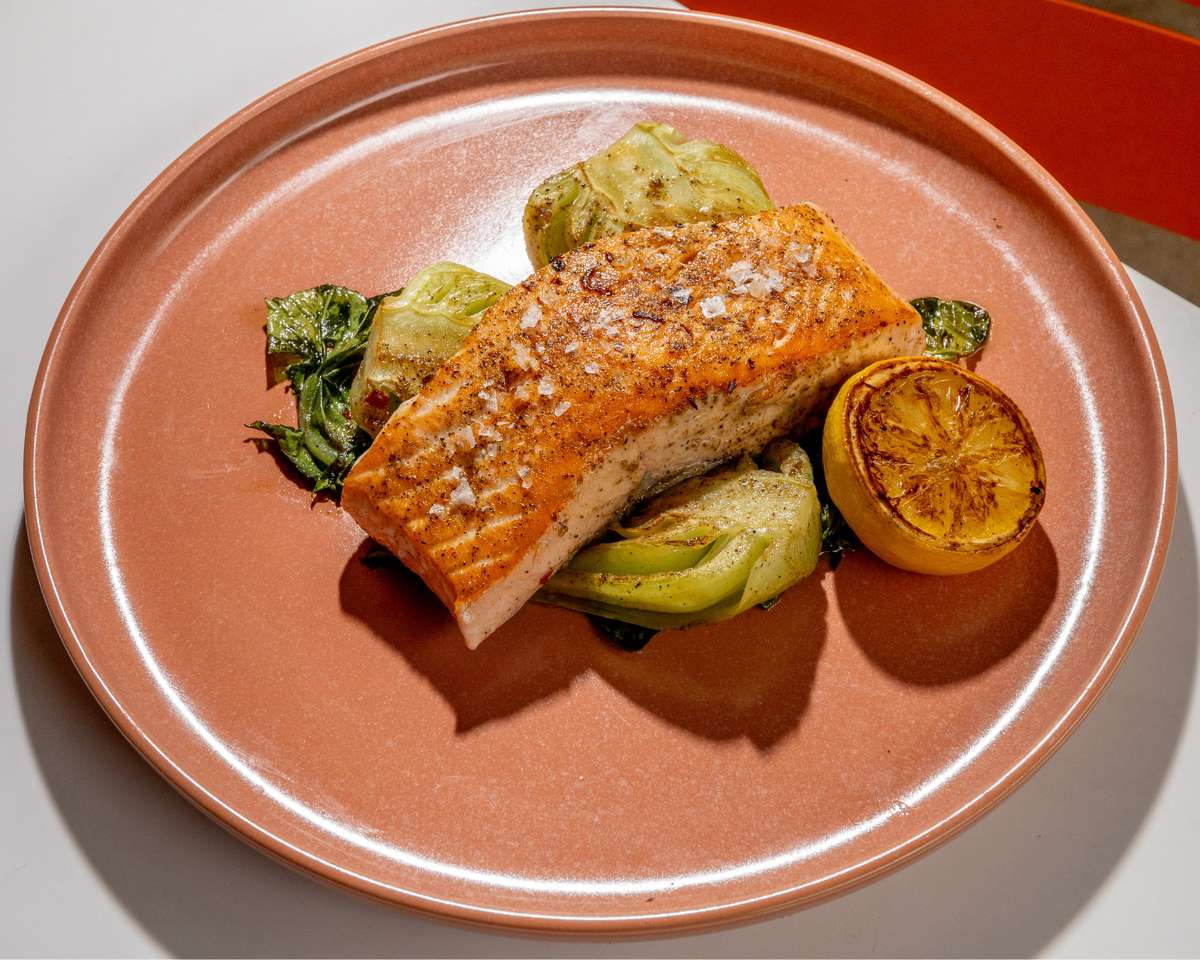 Scottish Salmon - Coconut Grove Restaurant | Outdoor, Kid & Dog