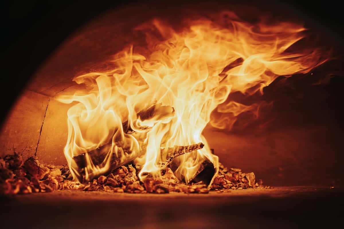 Gallery - La Crosta Wood Fired Pizza