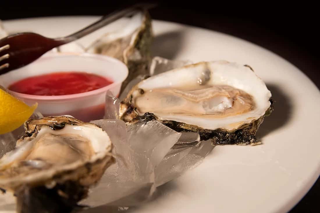 Oysters