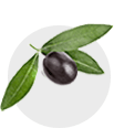 MEDITERRANEAN TASTE