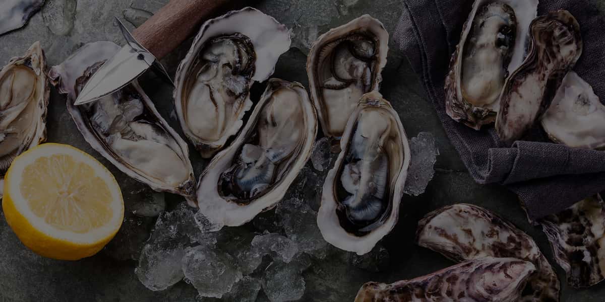 oysters