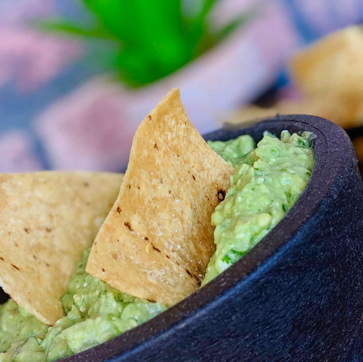 Guacamole and Chips Menu Casa Diaz Mexican Restaurant Mexican