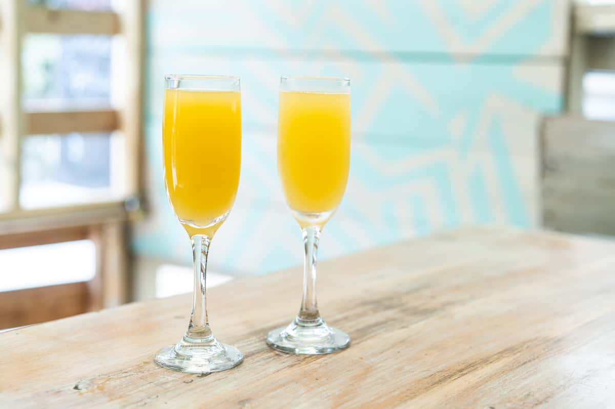 mimosa