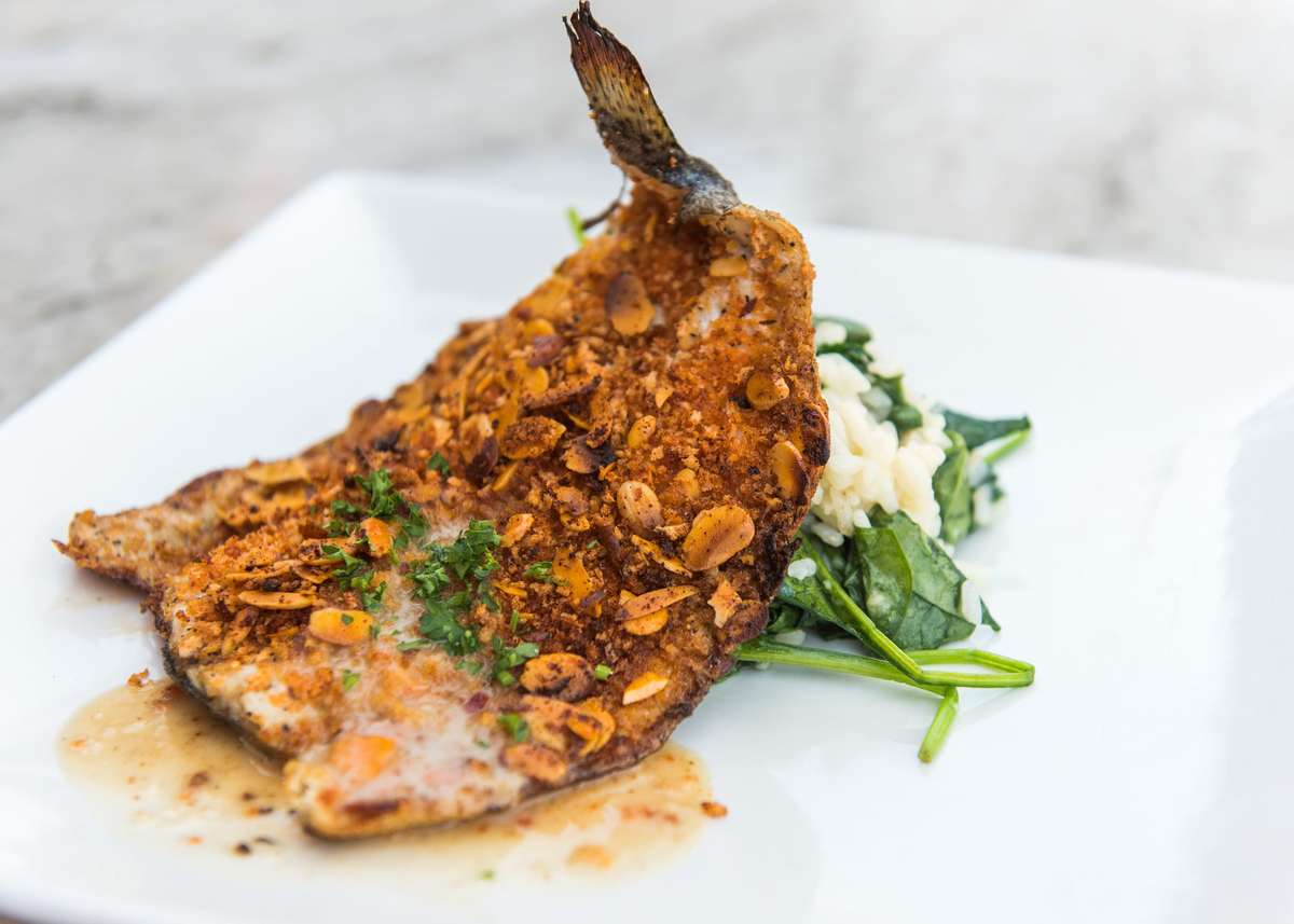 Trout Almondine Dinner Bernini's Bistro Italian Restaurant in La