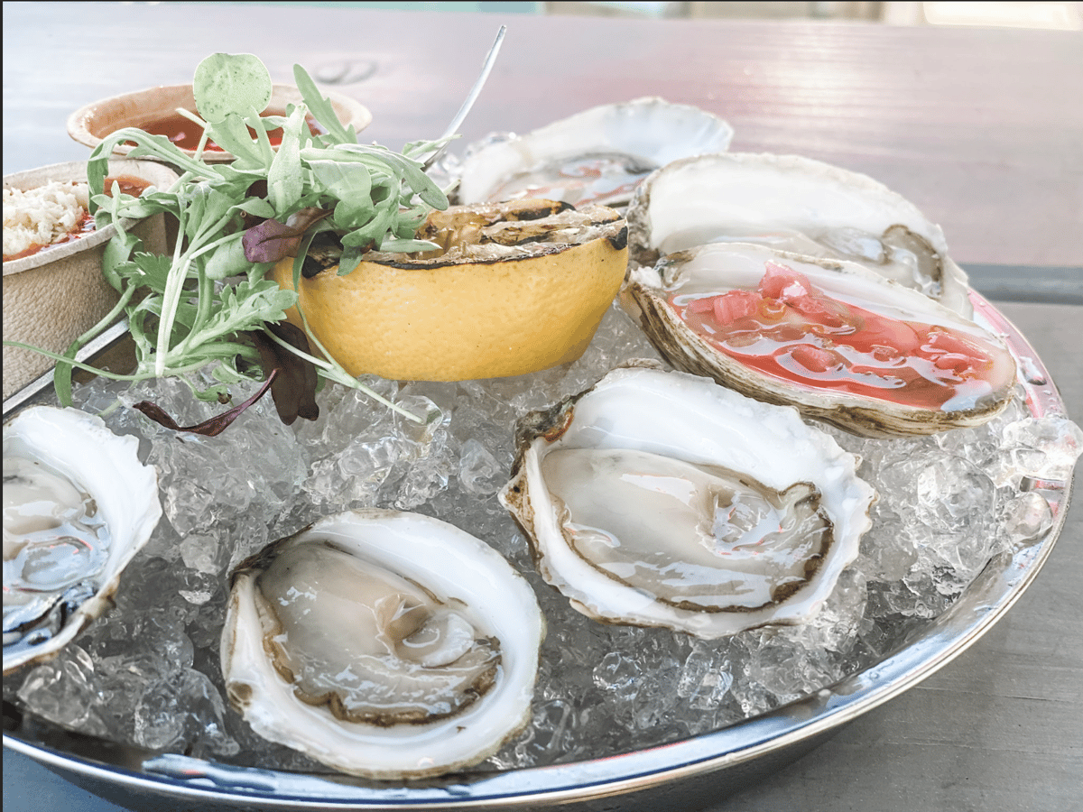 oysters