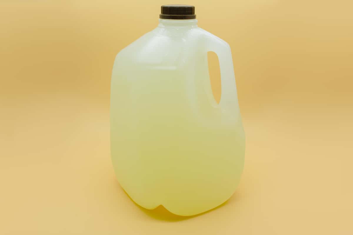 Gallon of Freshly Squeezed Lemonade
