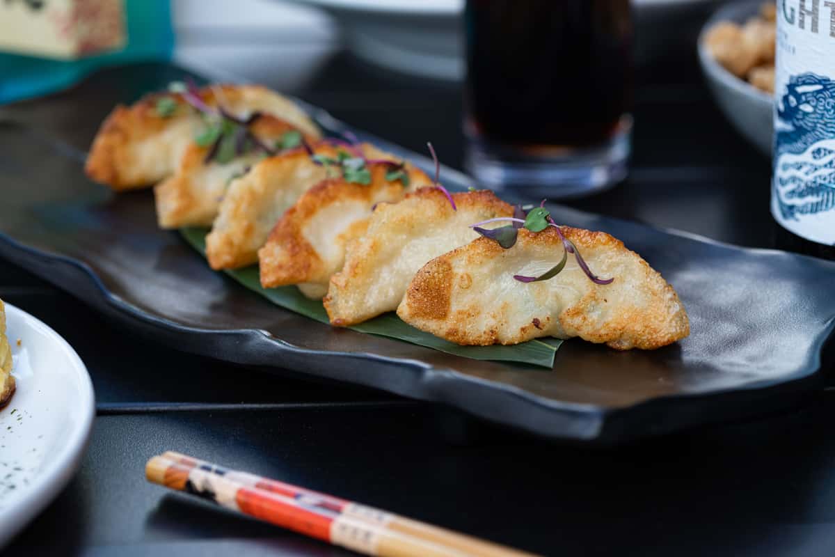 Gyoza Main Miyako Japanese Restaurant