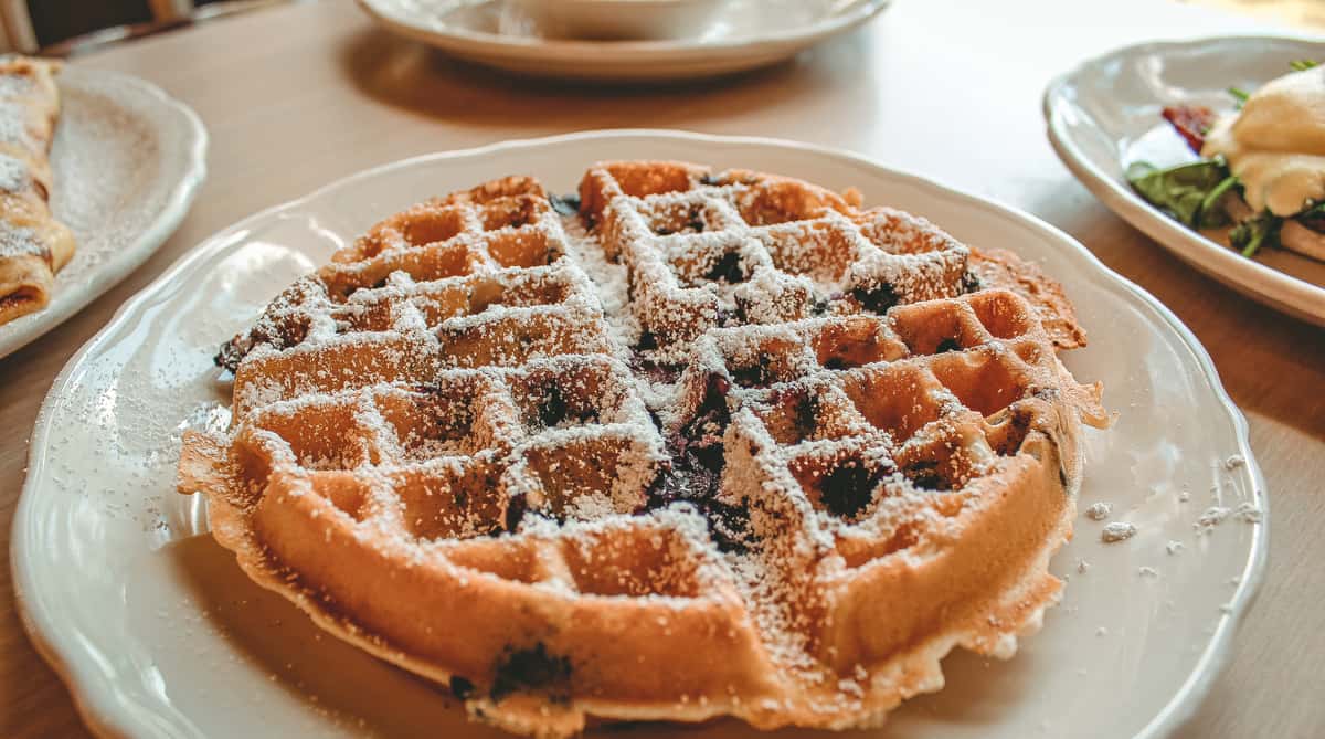 Blueberry Waffle