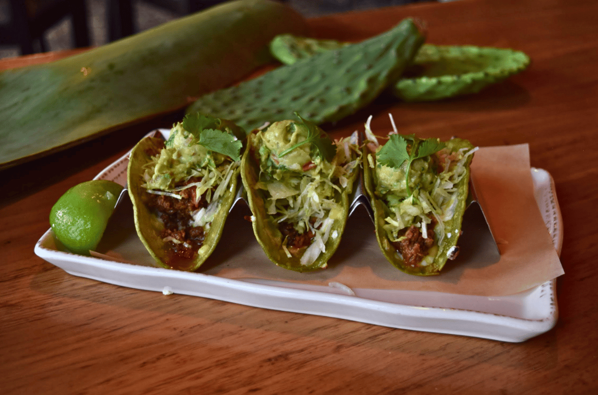 Taco & Beyond - Colorado Mexican Restaurant - My Neighbor Felix