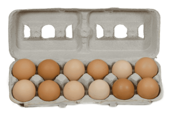 Large/X-Large Pastured, 100% Soy-Free Eggs