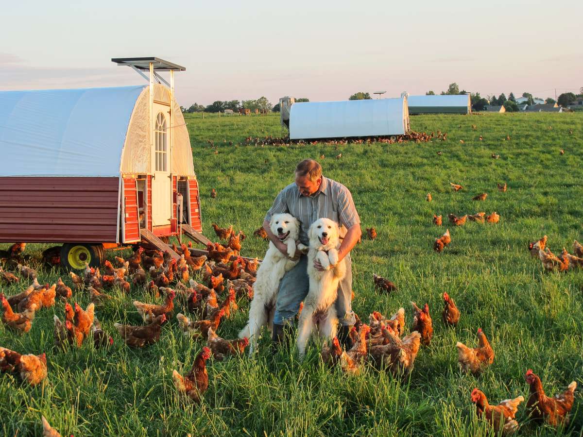 family cow website