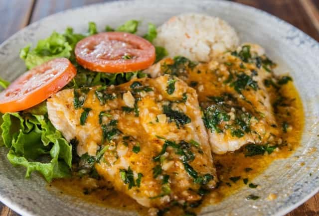 Red Snapper Taylor Made - Costa Pacifica USA