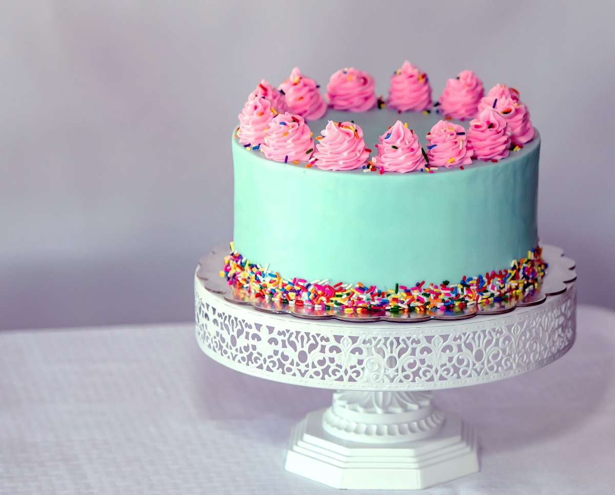 Blue cake with sprinkles and hot pink frosting flowers