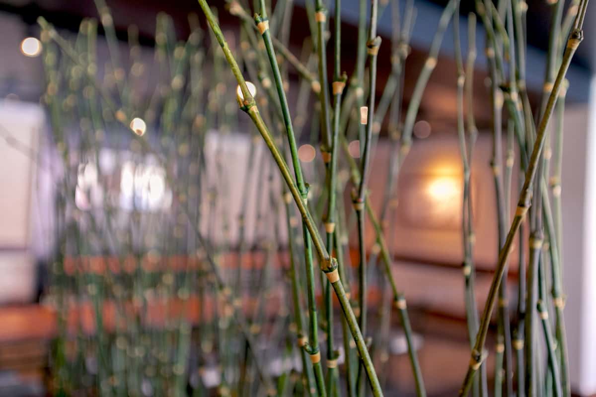 Reservations - Gyotaku Japanese Restaurants - Hawaii