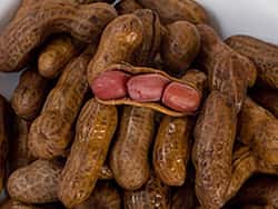 Boiled Peanuts - The Peanut Man - Lunch restaurant in Columbia, SC