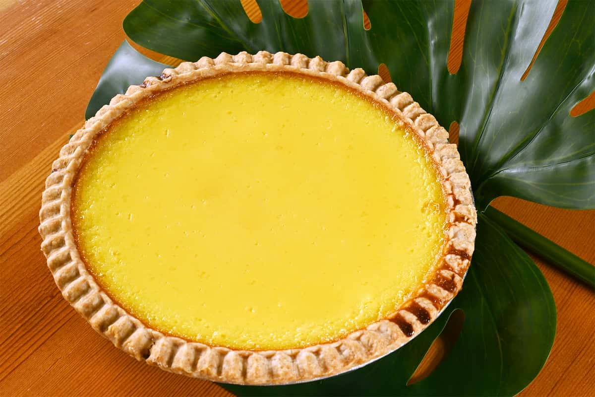 Custard Pie