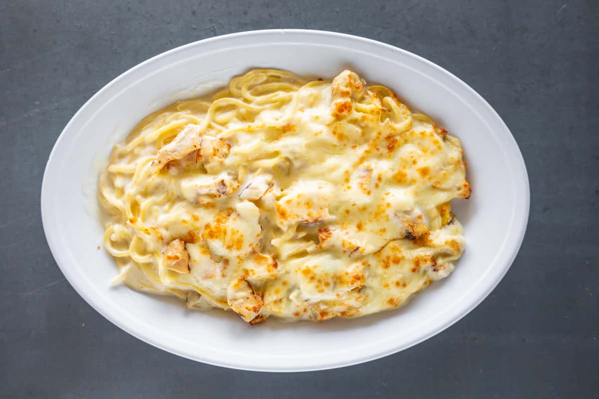 Chicken or Seafood Alfredo